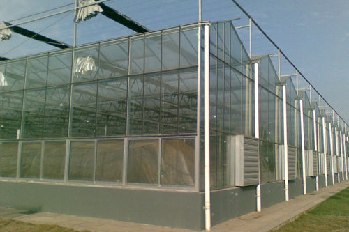 四川北川高科技农业示范园玻璃温室