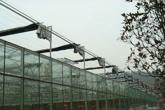 威海紫光科技园文洛式连栋温室