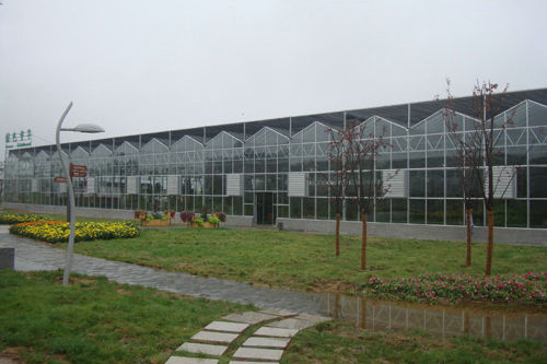 西安曲江博览园展示温室