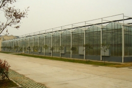 四川北川高科技农业示范园玻璃温室